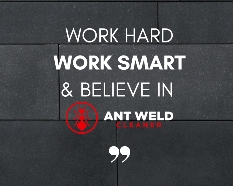 Motivational message for Ant Leaders Vision